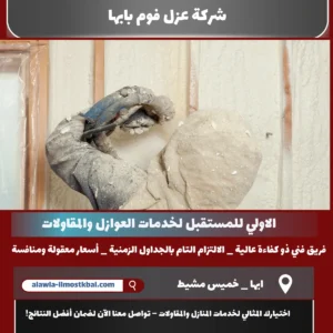 شركة عزل فوم بابها